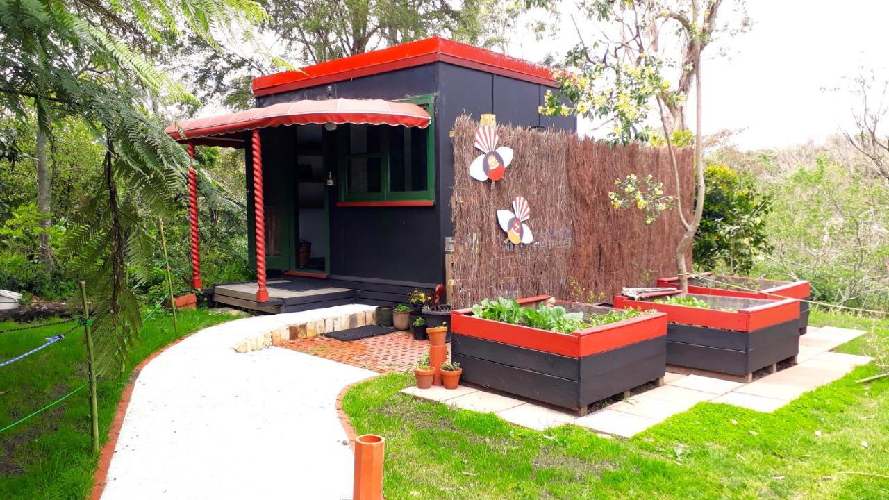 Quirky Woods - Glamping Cabins At Maketu Kültér fotó